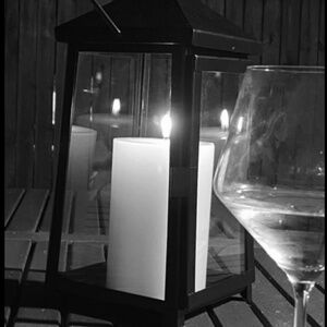 Meet your Posher, Ronnie